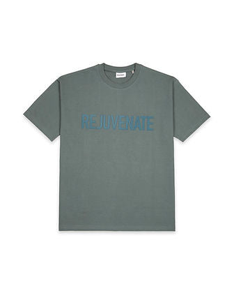 Basic Essential - Muted Green